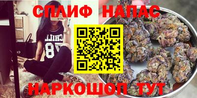трава Сланцы