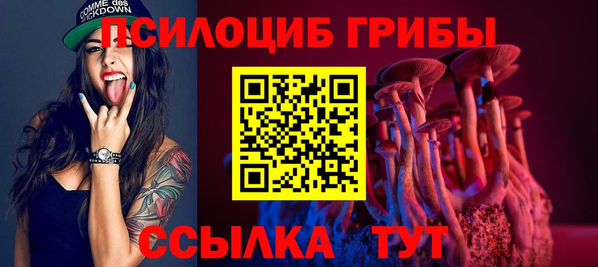 как найти наркотики  Псилоцибиновые грибы Cubensis  Вход с VPN  Белгород 
